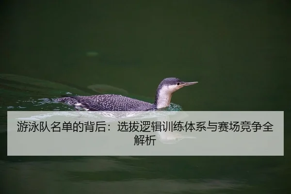游泳队名单的背后：选拔逻辑训练体系与赛场竞争全解析