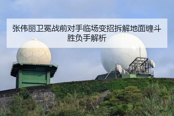 张伟丽卫冕战前对手临场变招拆解地面缠斗胜负手解析