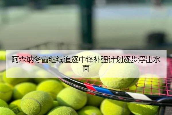阿森纳冬窗继续追逐中锋补强计划逐步浮出水面